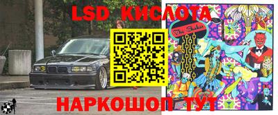 прущие грибы Новодвинск