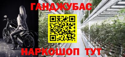 прущие грибы Новодвинск